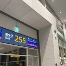 856 | KLM항공 KL856 인천-암스테르담 비즈니스 탑승 후기