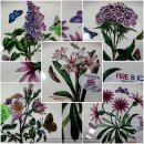 포트메리온 보타닉 가든 접시6PC/PORTMEIRION BOTANIC GARDEN/포트메리온/코스트코 아울렛/오명품아울렛 이미지