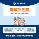 두류동물병원 네이버블로그
