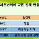체온케어산업 이미지