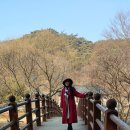 한국문화연수원(공주)에서의 추억 이미지