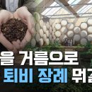 "시신을 거름으로" 인간 퇴비 장례 뭐길래 (연합뉴스) 이미지