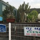 부엉이민박 이미지