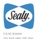 아이에비뉴롯데몰동부산점 | 씰리 추천 허리가 편안해 꿀잠 잘 수 있는 씰리 매트리스씰리침대 롯데몰 메종 동부산점 방문 후기