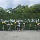 독바위공원 야외무대 | [페스티벌] 2025 뷰티플민트라이프 후기 및 관람 팁 (실내/야외 무대 &amp; 푸드존) 🍀