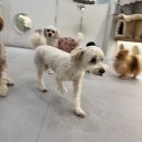 바우스쿨 이미지