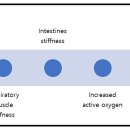 7 [Body and Englightenment] There is no inflammation in the Buddha&#39;s body 이미지