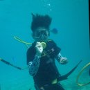 거북이 엔터테이먼트 | 괌 오션워커 패키지 🐠 스노클링·액티비티 총정리 | 괌 자유여행 필수 체험 완벽 가이드