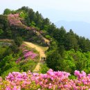 지리산 숲속의 쉼터 이미지