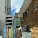 더비치 호스텔 | 하와이 숙소 Honu Waikiki by ALOH 호누 와이키키 / 가성비 호스텔 솔직 후기