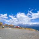 바다파파 이미지