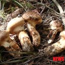 산양2리 이미지