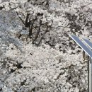 문화예술공원2 이미지