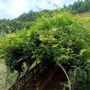 충주호당의원 이미지