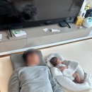 꼬망세 | 애냥 육아 거실 매트 꼬망세 매트 내돈내산 후기 / 고양이 스크래치