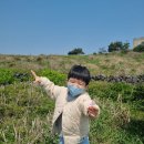 제주동제여행사(주) | [제주] 동제주,섭지코지 방문 후기｜휘닉스 제주 숙박부터 글라스하우스 플로이스트 브런치까지