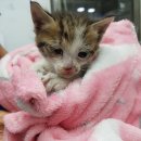 이규보로22번길 이미지