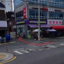 민속마을탱자나무 이미지