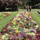 (주)꽃랜드 이미지