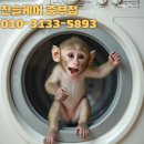 신성화학 | 부산 대연정사 시스템에어컨 분해청소후기/진솔케어중부점 전문 작업