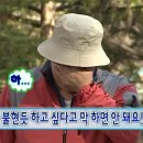 남편은 정원사 아내는 꽃
