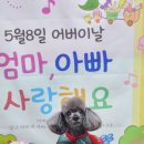 찬솔 이미지