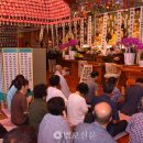 전주 금선암, ‘매향목 석가모니불’ 점안법회 봉행 이미지