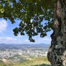 용평면사무소 | 강아지랑 당일치기 강원도 여행 코스 애견동반 정보