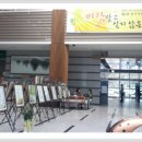 원주시청 이미지