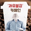 카페인아