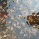 인천수산 이미지