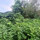 반제농장 이미지