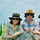 산바다여행 이미지