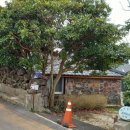 제주민박프리타타 이미지