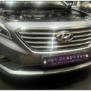 포니카센타 이미지