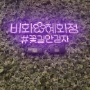 [방탈출 후기] 68.비밀의 화원 대학로점 나이스 NICE