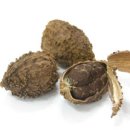 허브유통㈜ 이미지