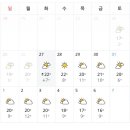 차사랑손세차 이미지