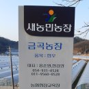 금곡목장 네이버블로그