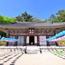 전라도여행지 추천 지리산이 품은 고찰 구례 연곡사의 봄 풍경