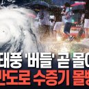 1호 태풍 &#39;버들&#39; 곧 몰아친다…중국쪽으로 움직여도 우리나라로 막대한 수증기 밀어낸다 이미지