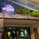 미스터 치킨 본점 | 대공개합니다…. (TWG, 싱가포르동물원, 가성비 숙소, 쥬얼창이, 미스터코코넛, 리버크루즈, 루프탑바)