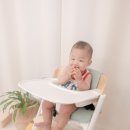 단하이 이미지