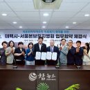 서울본브릿지병원 이미지