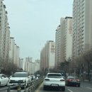 식물가게;릴트
