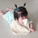 별바라기 아기 거즈 턱받이 침받이 내돈내산