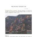 아모로 이미지