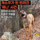 없음 이미지