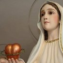 성모의지 이미지