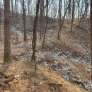 하로3리 | 음성 가막산성 (陰城 가막山城)